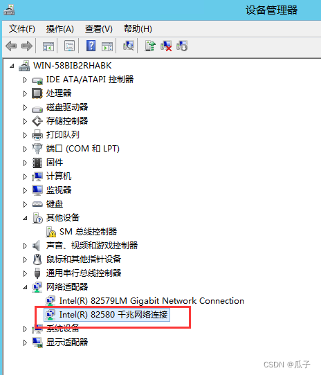 j1900 nas安装windows蓝屏，无网卡连不上网