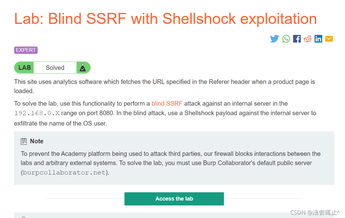 Lab: Blind SSRF with Shellshock exploitation
