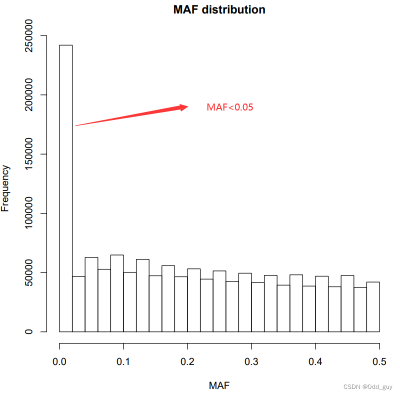MAF分布