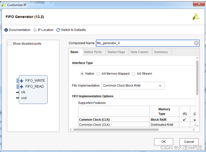 “Customize IP”窗口