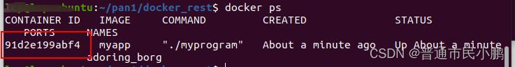 如何在 Ubuntu 20.04 系统上安装 Docker方法和使用