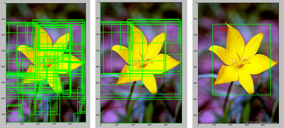 【youcans动手学模型】目标检测之 RCNN 模型