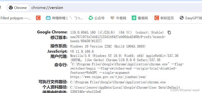 selenium下载安装对应的chromedriver并执行_chromedriver.exe 12