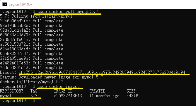 docker 安装 mysql