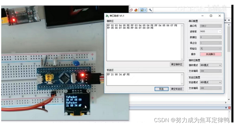 P28[9-4]STM32:串口收发HEX数据包理论篇(内含：1.实验现象+2.文本数据包/HEX数据包+ 3.文本数据包接收/HEX数据包接收)