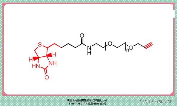 供应Alkyne-PEG-Biotin，Alk-PEG-Biotin，炔烃-聚乙二醇-生物素