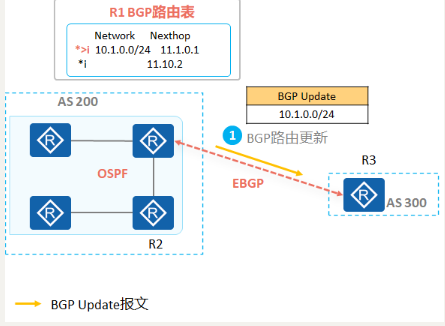BGP基础讲解