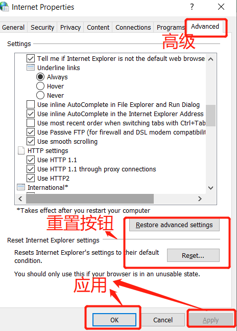 Reset IE advanced options