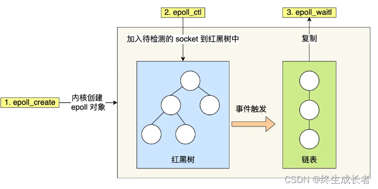 操作系统—网络系统