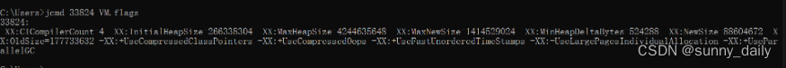 jcmd VM.flags指令