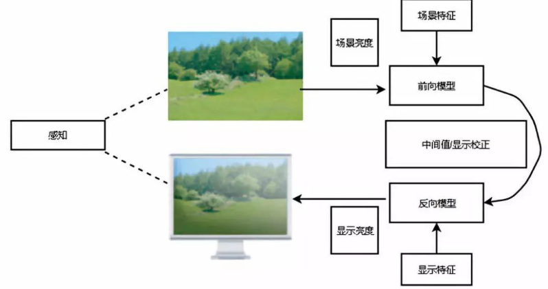 色调映射（Tone Mapping）