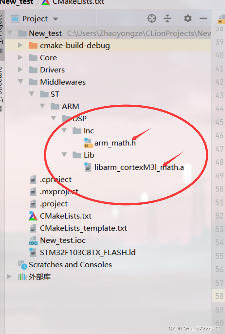 CubeMX+CLion开发STM32，添加DSP库_cmake添加dsp库宏定义 Stm32-CSDN博客