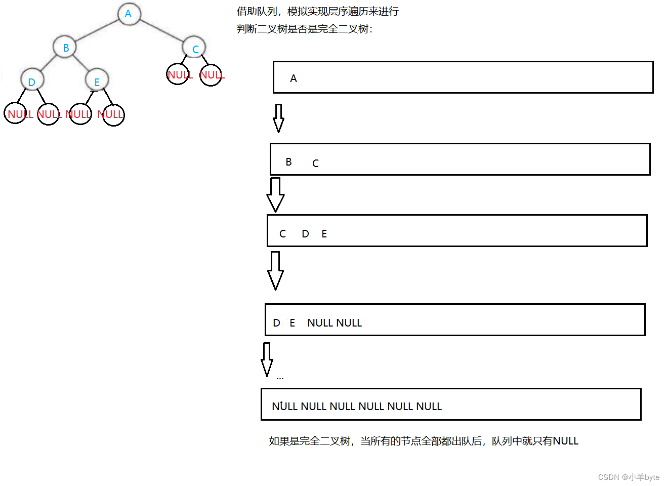 二叉树的介绍及二叉树的链式结构的实现（C语言版）