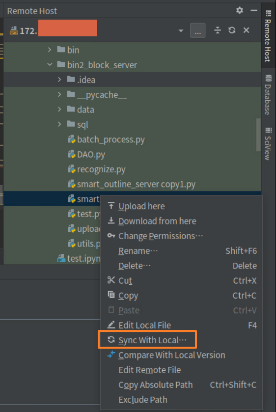 Pycharm2021.03专业版远程连接服务器或者docker镜像调试过程_file > settings > plugins > manage plugin reposCSDN博客