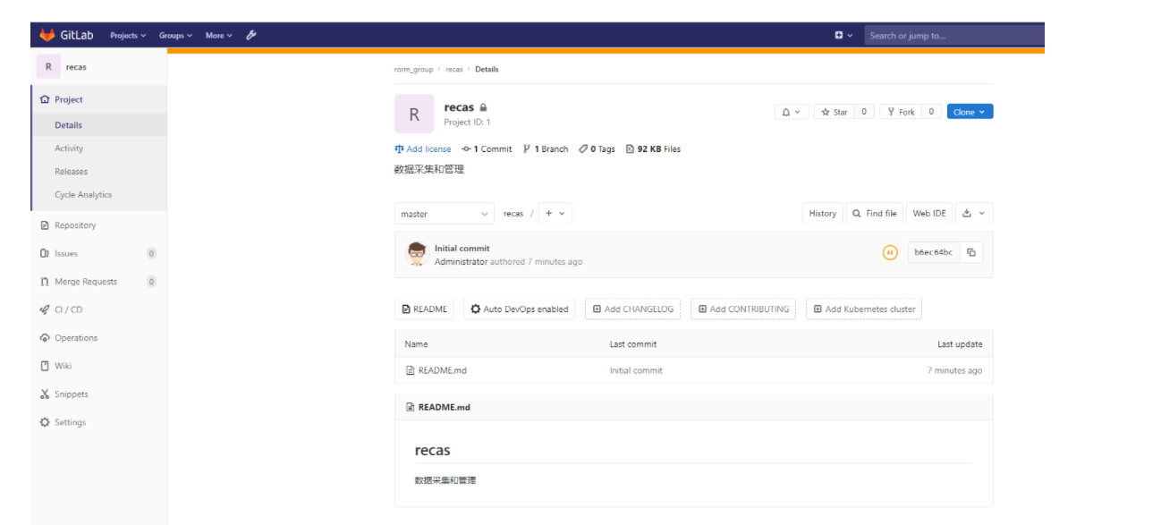 GitLab使用详解_gitlab owner maintainerCSDN博客