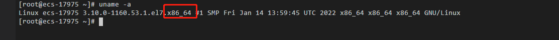 linux查看系统版本
