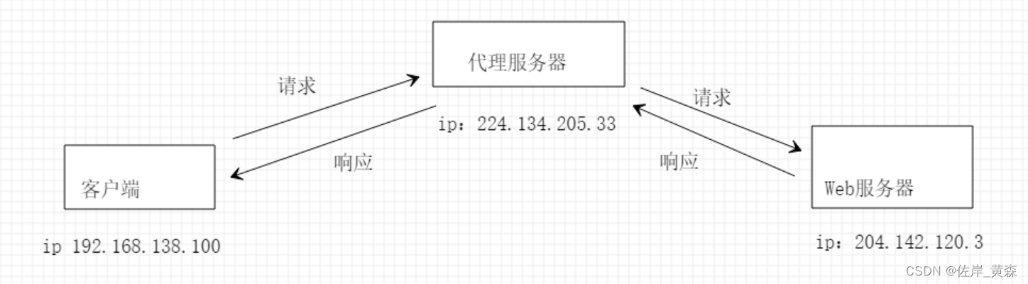 ip代理原理解析_会将数据包原封不动地转发给服务器的是-CSDN博客