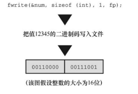 C语言基础之13：文件输入/输出