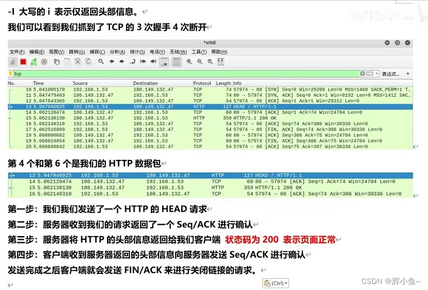 WireShark 常用协议分析