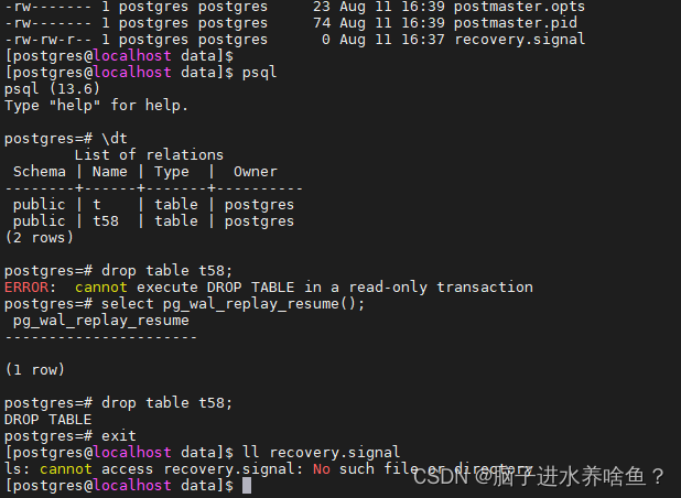 PostgreSql 备份恢复