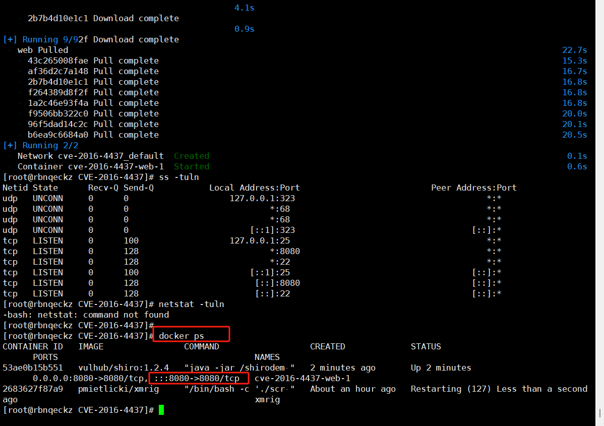 Linux系统上搭建Vulhub靶场