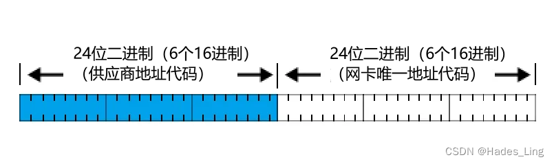 MAC地址的组成