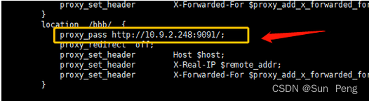 【nginx】nginx之location规则详解:,在这里插入图片描述,词库加载错误:未能找到文件“C:\Users\Administrator\Desktop\火车头9.8破解版\Configuration\Dict_Stopwords.txt”。,服务,服务器,没有,第19张