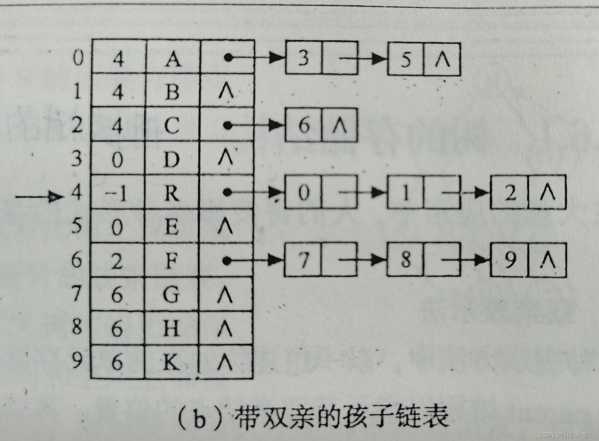 树和森林及哈夫曼树