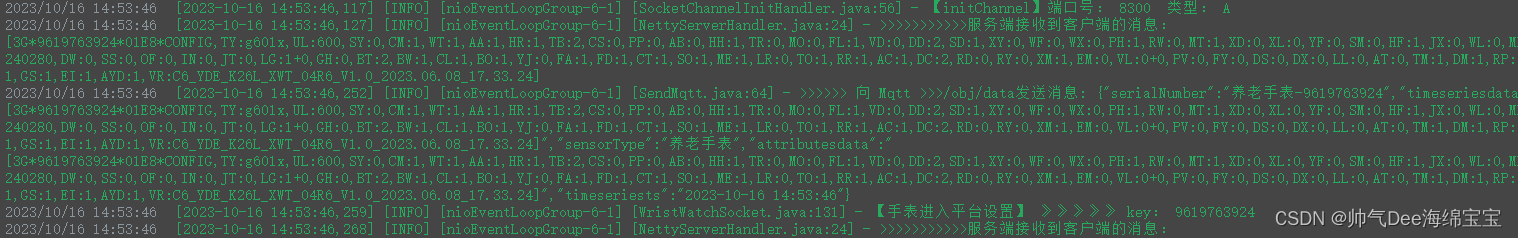 SpringBoot 整和 Netty 并监听多端口