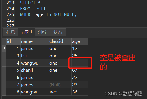 數據庫null和空的差別_api空指針異常 null_空指針和null