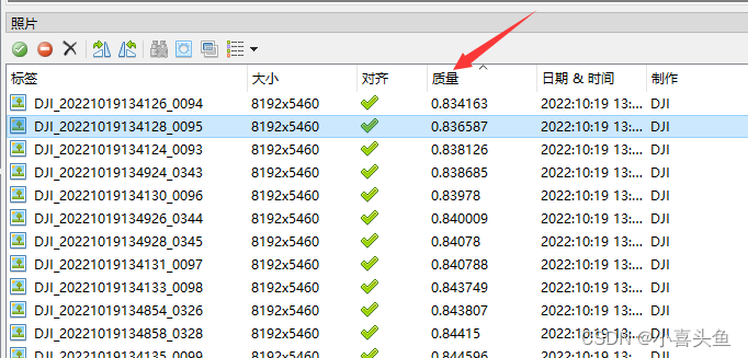 【metashape精品教程5】影像质量评估_estimateimagequality_小喜头鱼