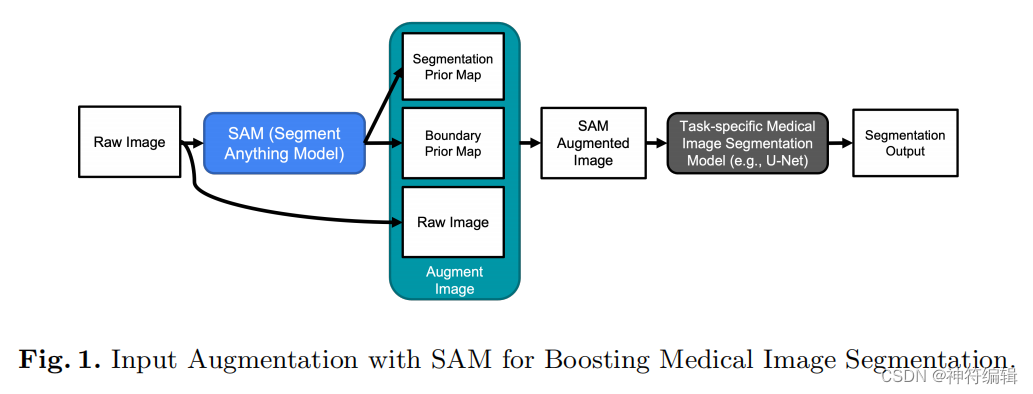 探究SAM增强其他医学分割模型的（2023+Input Augmentation With SAM: BoostingMedical ...