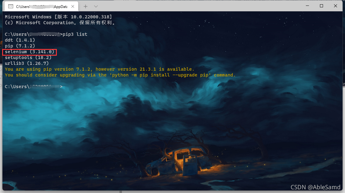检验是否安装成功