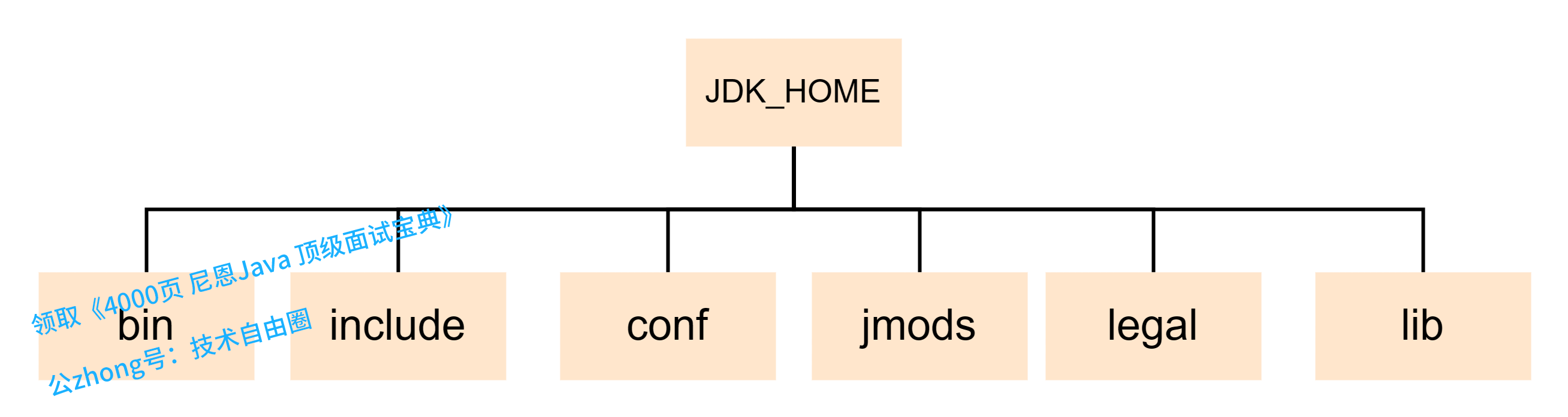 jdk9以后目录