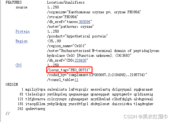 NCBI中该蛋白的详细信息