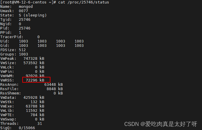 Linux查看进程实际占用内存的几种方式