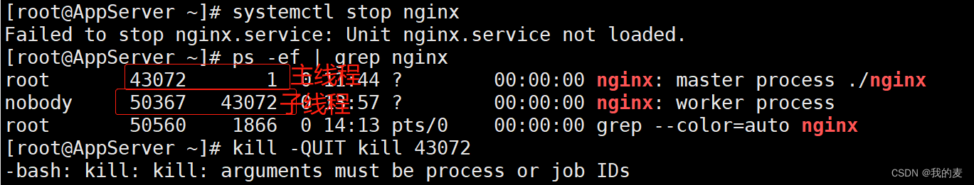 linux：安装nginx