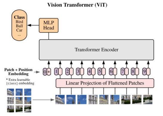 vision transformer