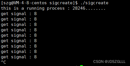 Linux：进程信号