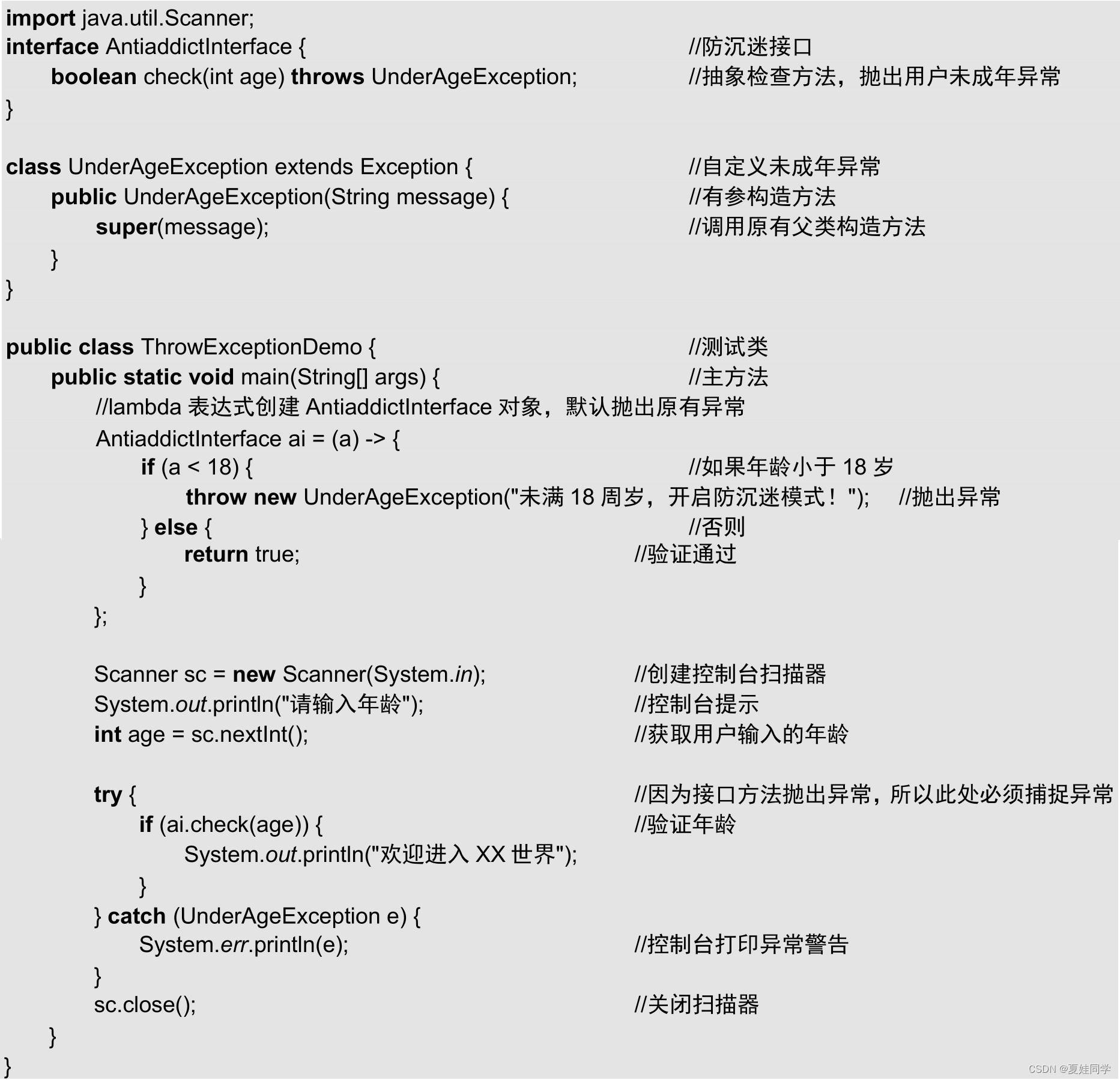 详解lambda表达式（一）：表达式定义与异常处理