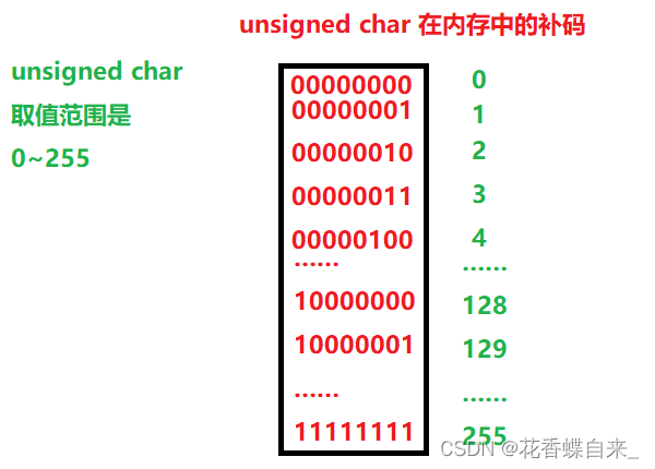 【C语言】数据的存储