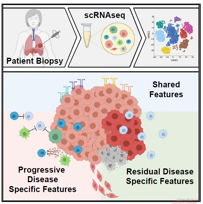 精选】Therapy-Induced Evolution of Human Lung CancerRevealed by