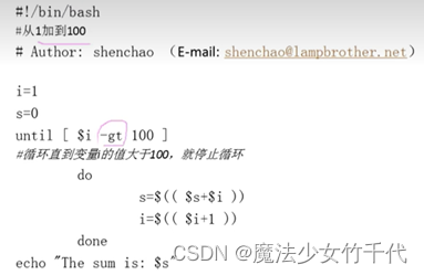 Linux B站视频兄弟连 自学笔记第十一章 Shell编程 魔法少女竹千代的博客 Csdn博客