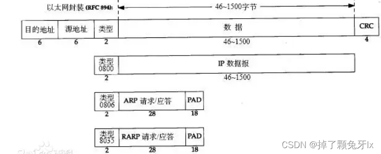 网络层协议和数据链路层协议