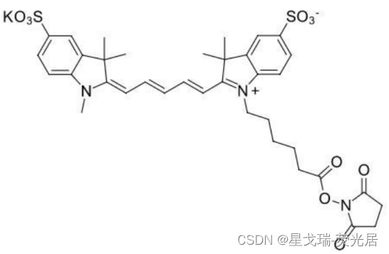 Sulfo-CY5 NHS荧光染料的生物应用2230212-27-6星戈瑞