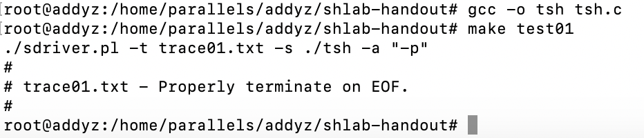  Shell Lab cs app3e Shell Lab Addyz CSDN 