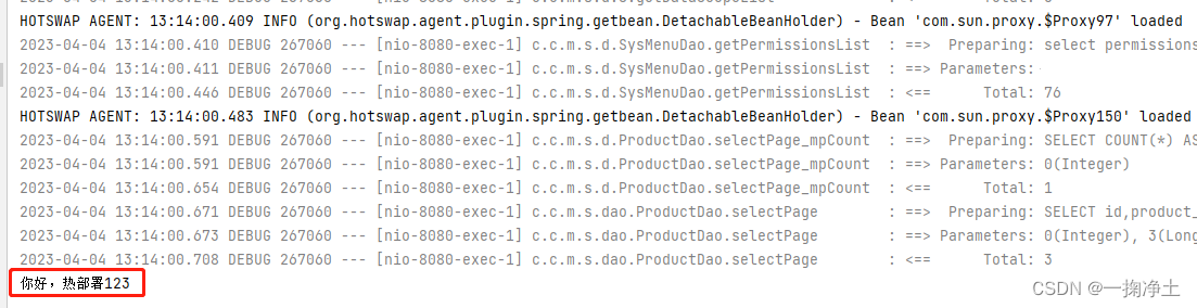 Java项目热部署方案之IDEA-HotSwapAgent和DCEVM大法