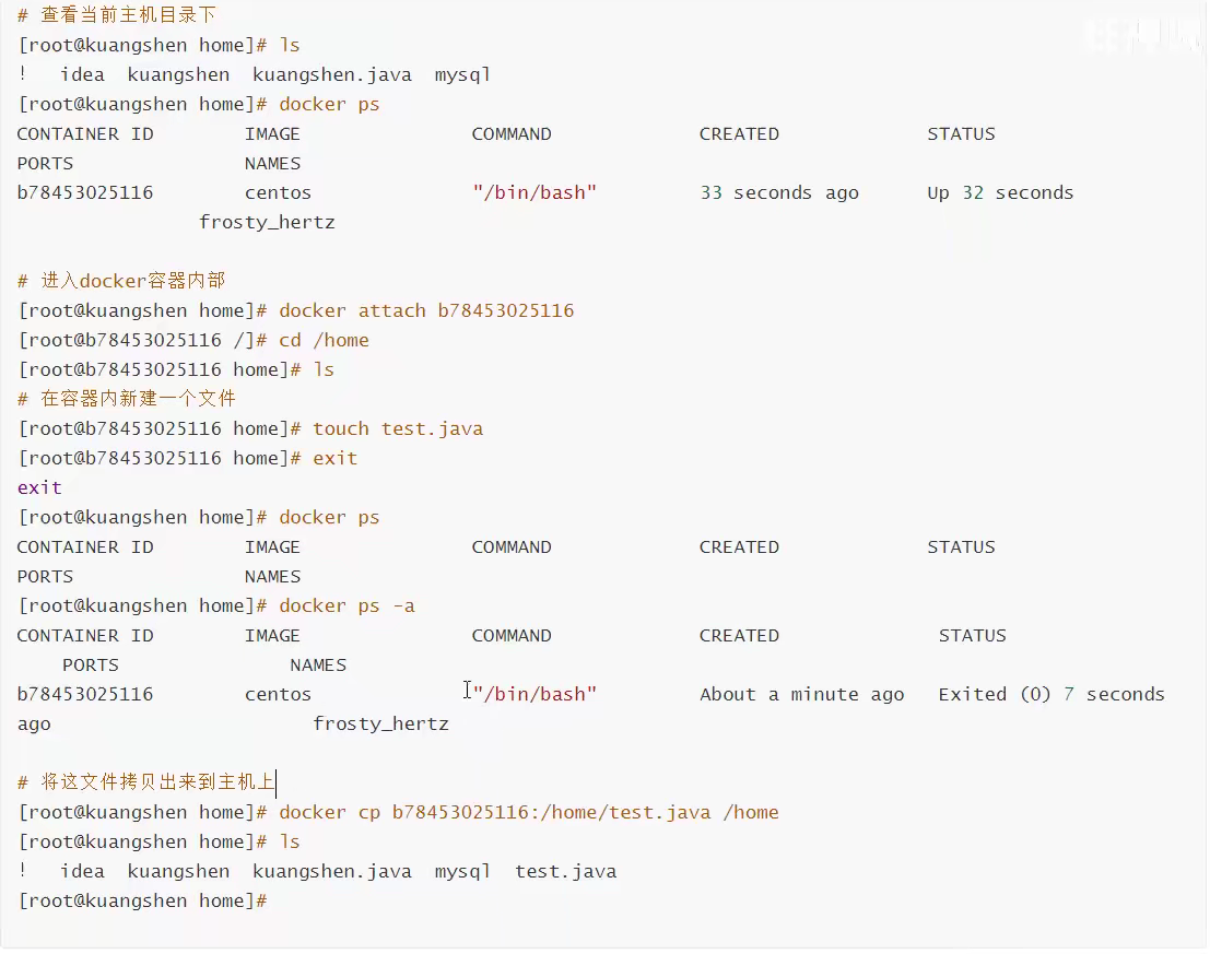 Docker 常用命令 帮助命令 镜像命令 容器命令 其他常用命令 超周到的程序员的博客 Csdn博客 进入容器命令