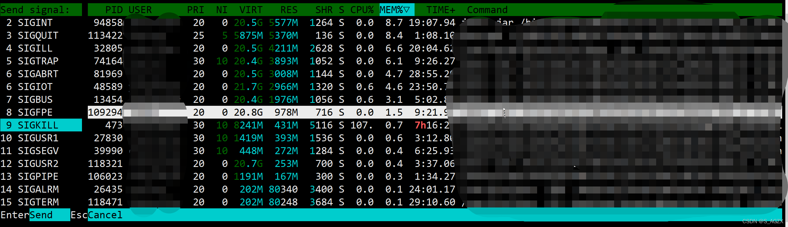 htop-kill功能