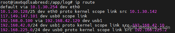 Linux 查看路由表